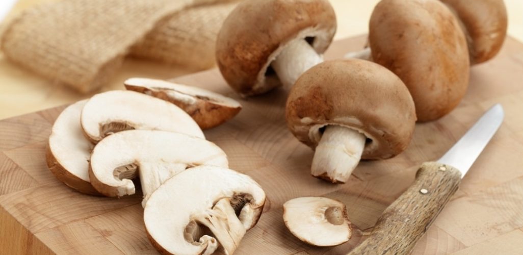 Beneficios para la salud de Hongos