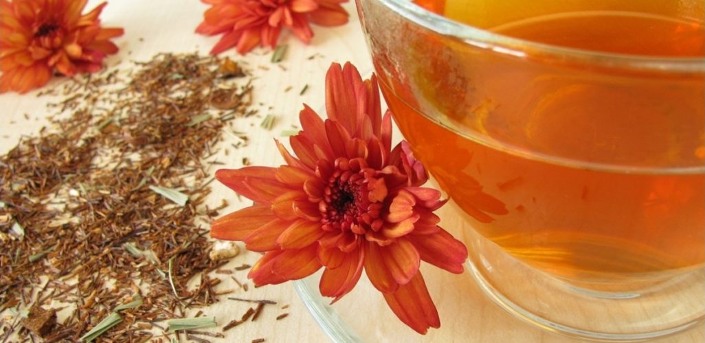 Beneficios para la salud del té Rooibos