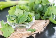 Beneficios para salud de Cilantro