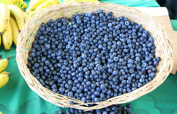 Las bayas de Acai