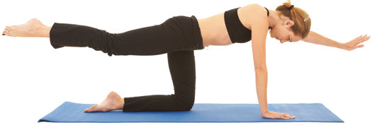 Enfrente Lifting de brazos y piernas