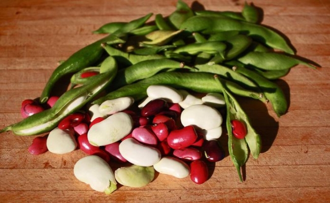 Frijoles
