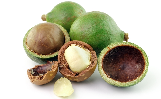 Las nueces macadamia