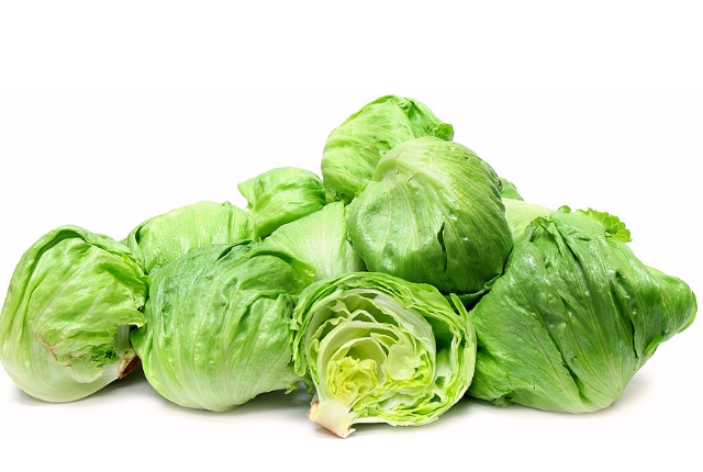 Lechuga Iceber