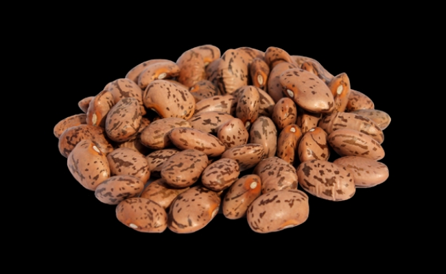 Pinto Beans