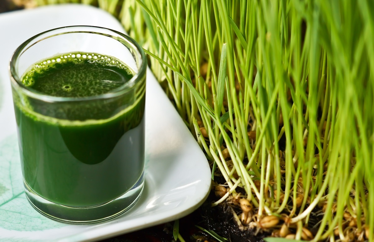 Watercress