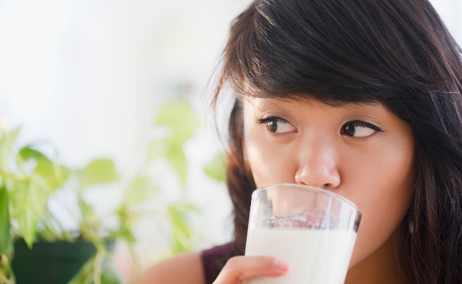 alimentos lácteos