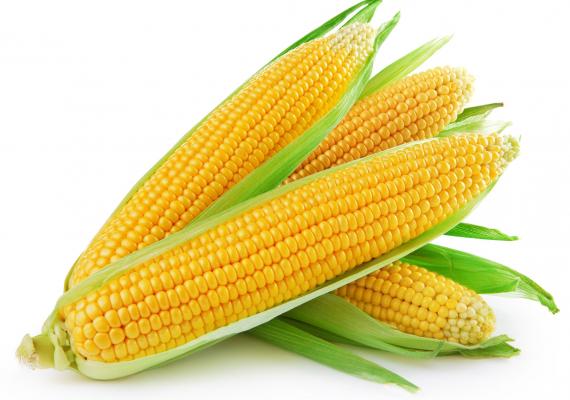 Beneficios del maíz dulce