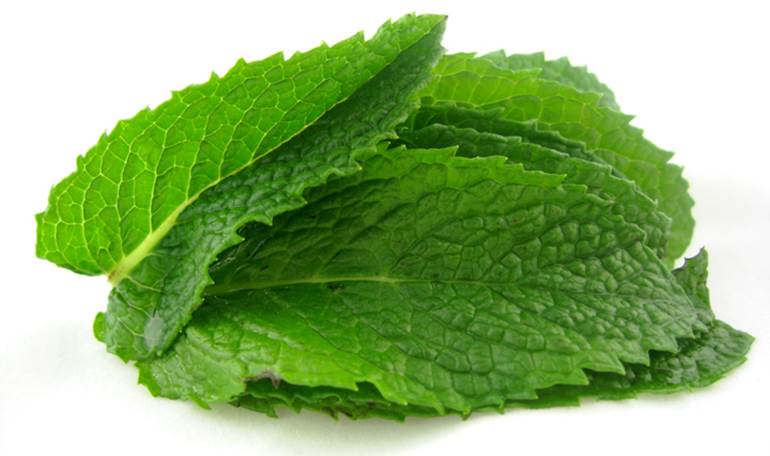 Beneficios para la salud de hojas de menta