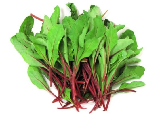 Beneficios para la salud de las hojas de remolacha