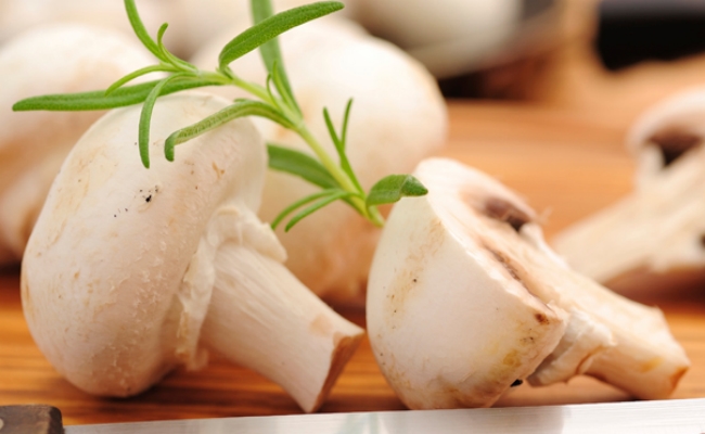 hongos shiitake