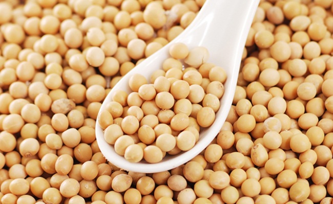 productos de soya