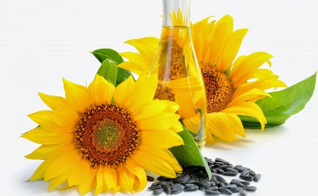 Aceite de Girasol