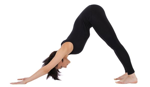 Chaturanga Dandasana