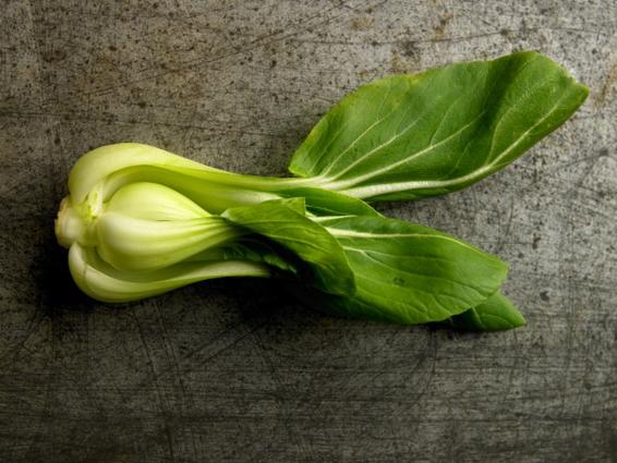 Bok Choy