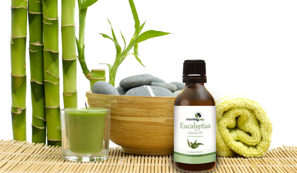 Aceite de eucalipto
