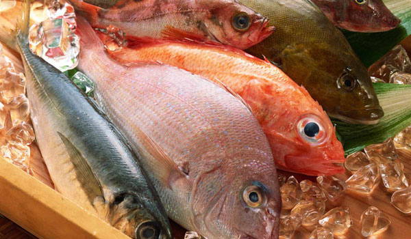 Pescado