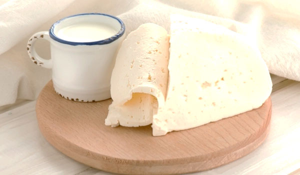 Yogur y queso