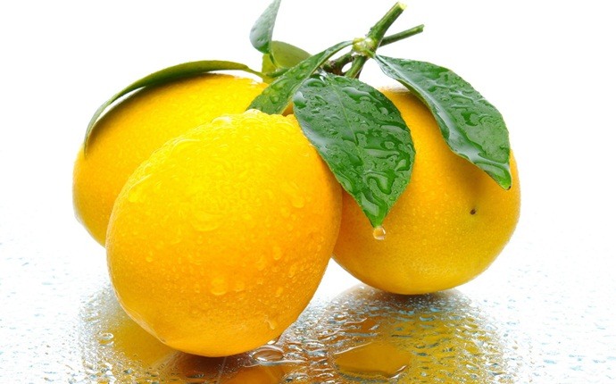 Limón y lima