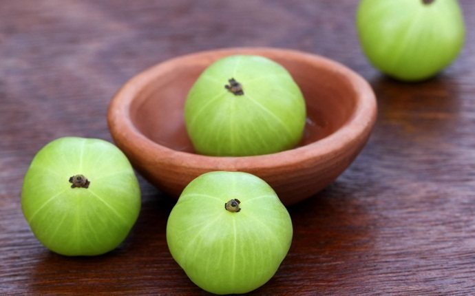 Amla Hair Oil