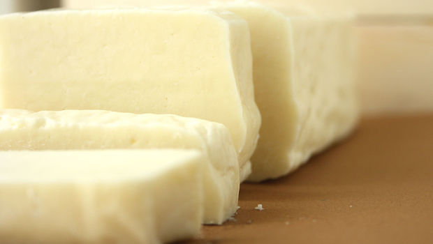 Queso vegetariano