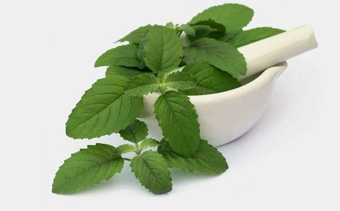 Tulsi Hair