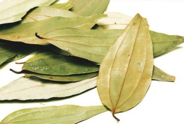 El acné y la hoja de laurel